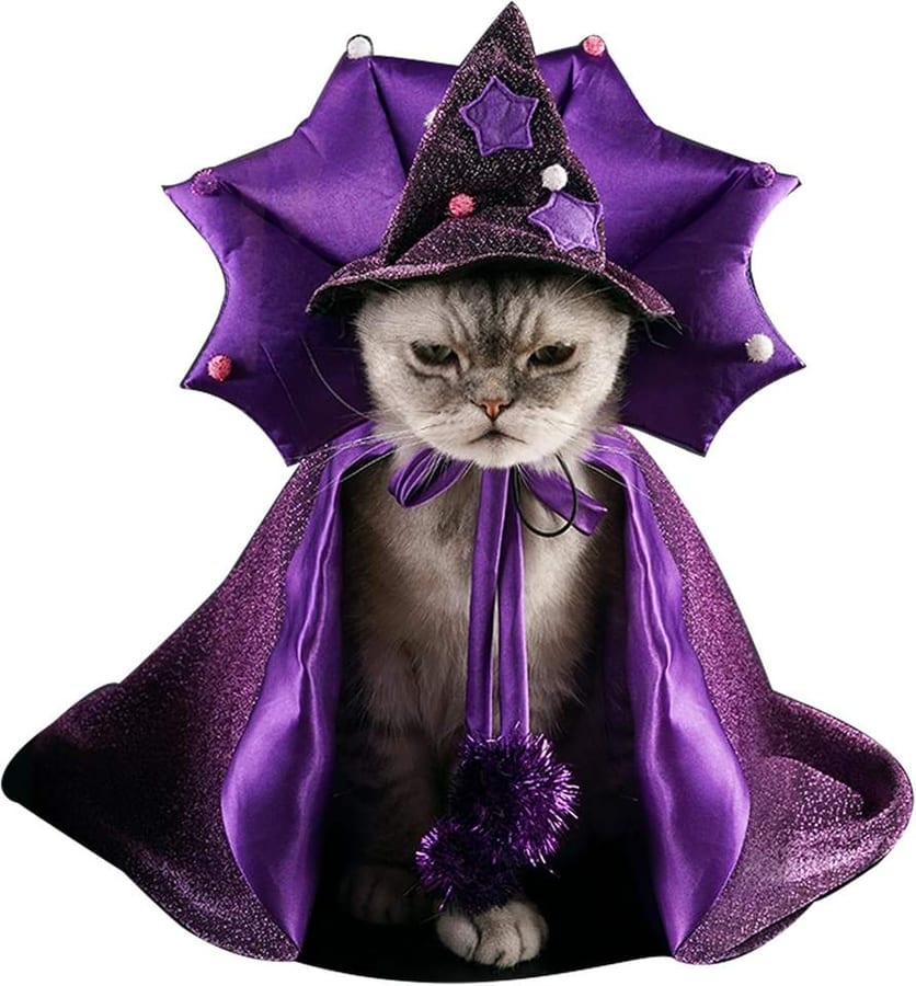 Pet Wizard Hat and Cape Set